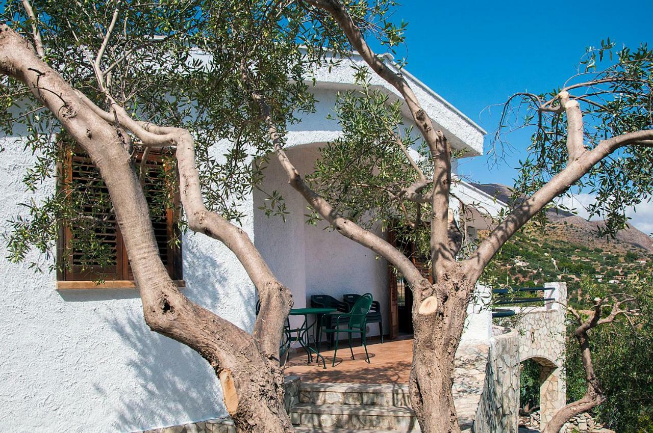 Villa Mediterranea *